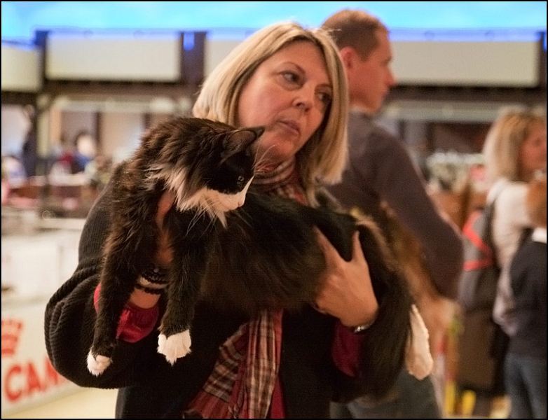 Shira de Tsavo 3.jpg - Shira de Tsavo